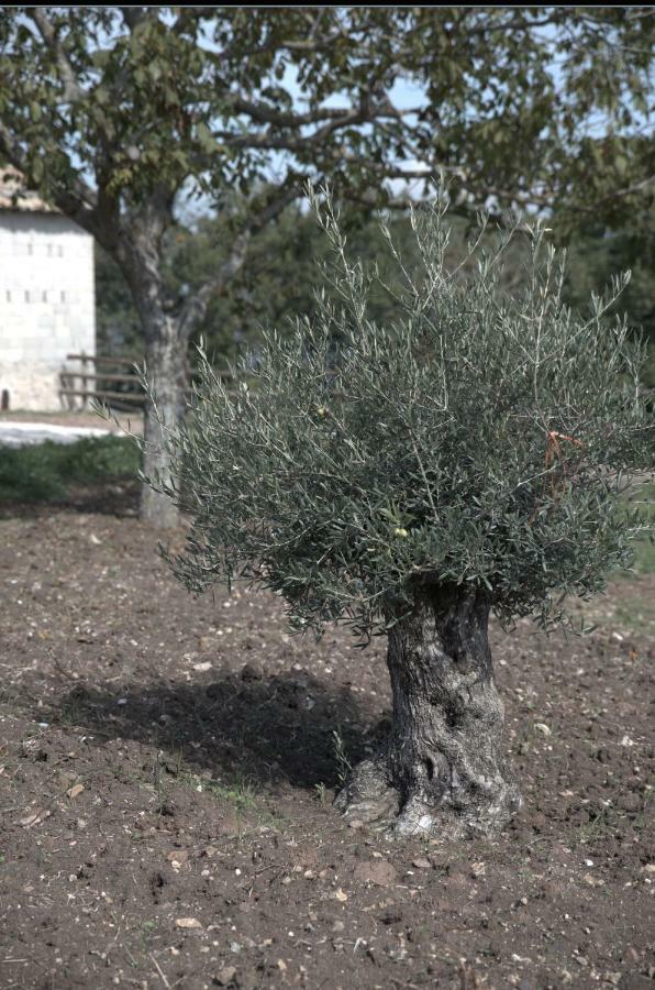 Agriturismo Il Parco Nusco Exterior foto